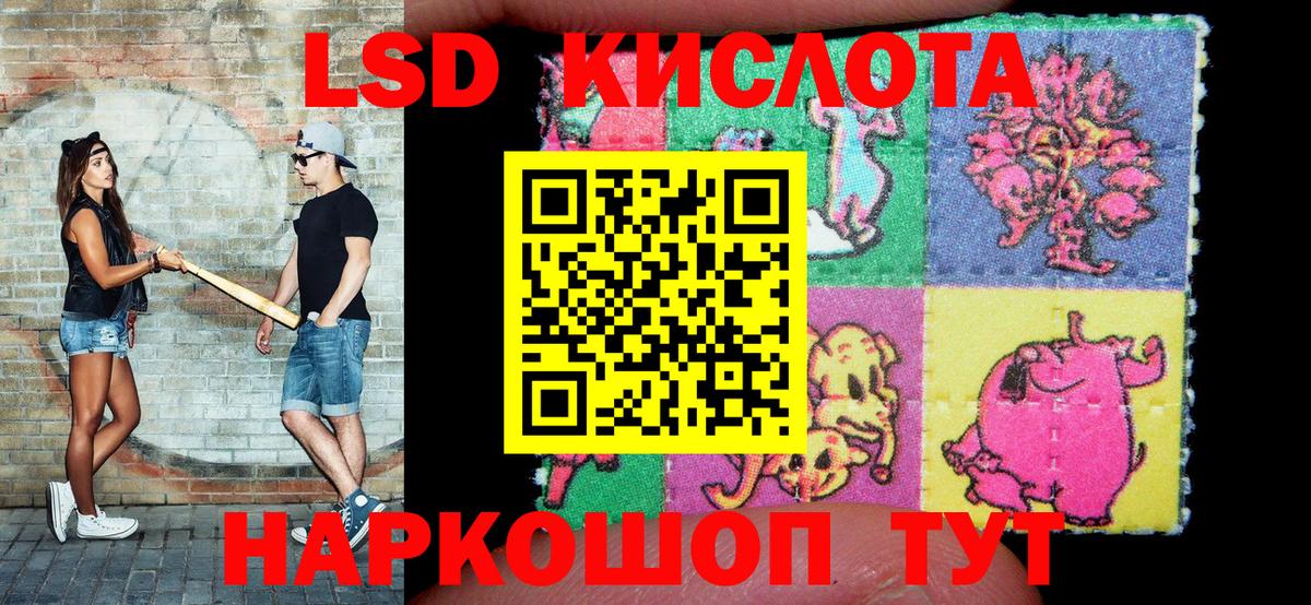 Шелехов  Наркотические марки  Вход с VPN  Наркотические марки 1,5мг  Наркотические марки 1,5мг 