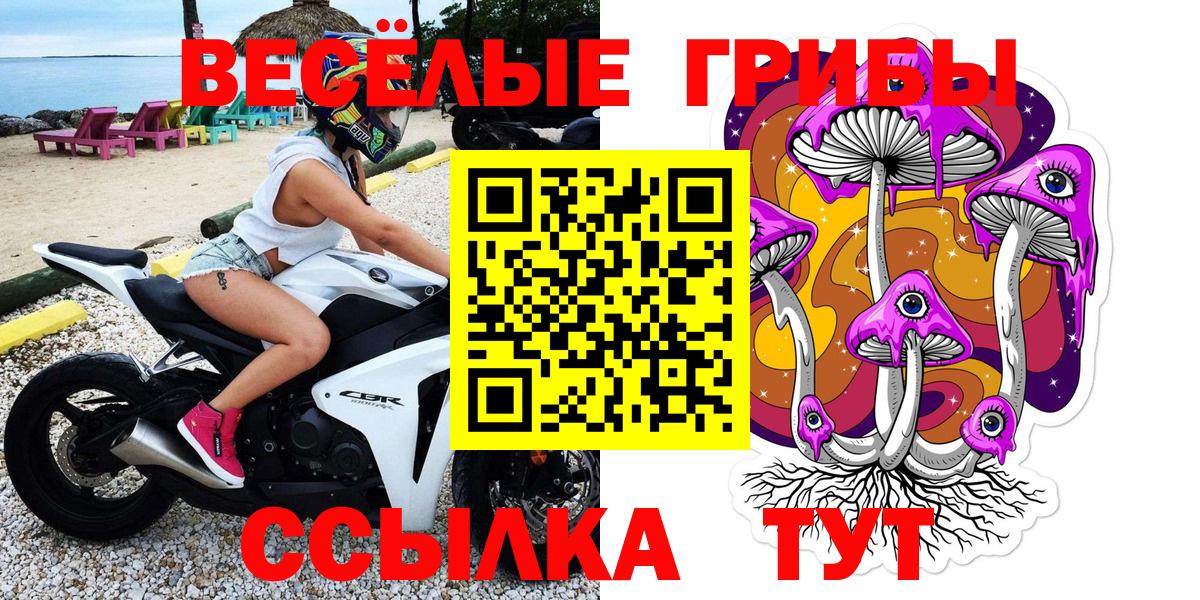Псилоцибиновые грибы Cubensis  Псилоцибиновые грибы Cubensis  Шелехов  Вход с VPN 
