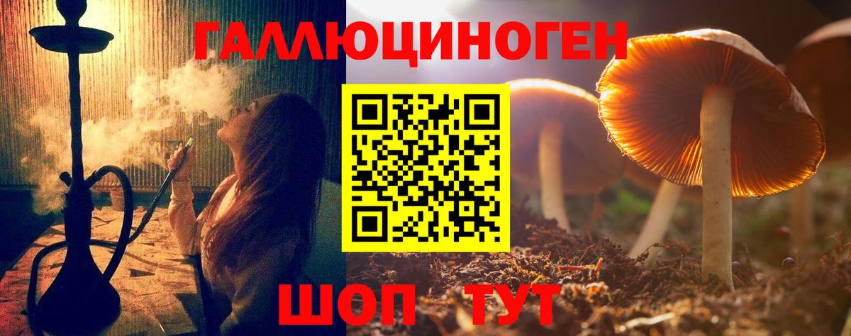 Псилоцибиновые грибы мицелий Шелехов